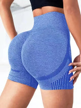 Sculpt High-Rise Yoga Shorts