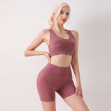 Nola Seamless Active Shorts Set