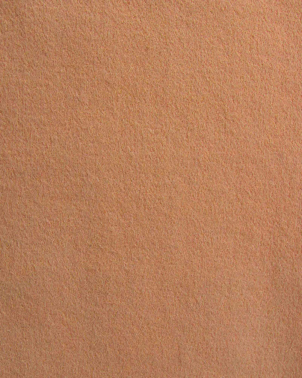 Rowan Oversized Wool Blend Jacket – Camel by Aurelia Sun