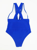 Mesh Plunge One-Piece Swimsuit