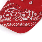 Paisley Ponytail Baseball Cap
