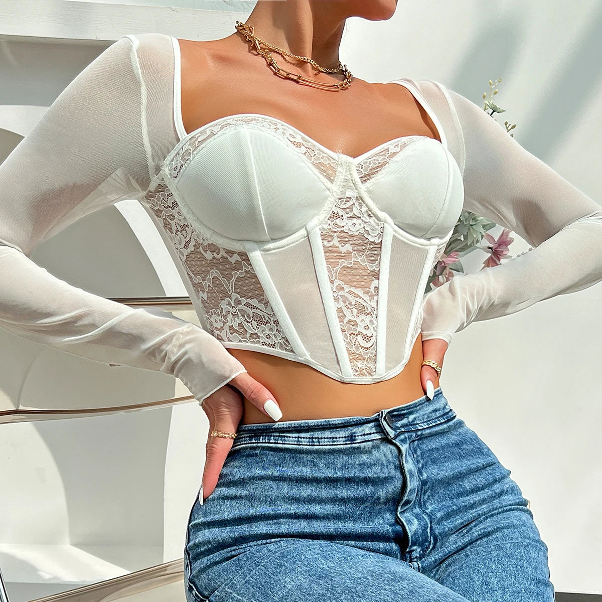 Embroidered Lace Mesh Cropped Blouse