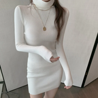 Turtleneck Knit Mini Dress