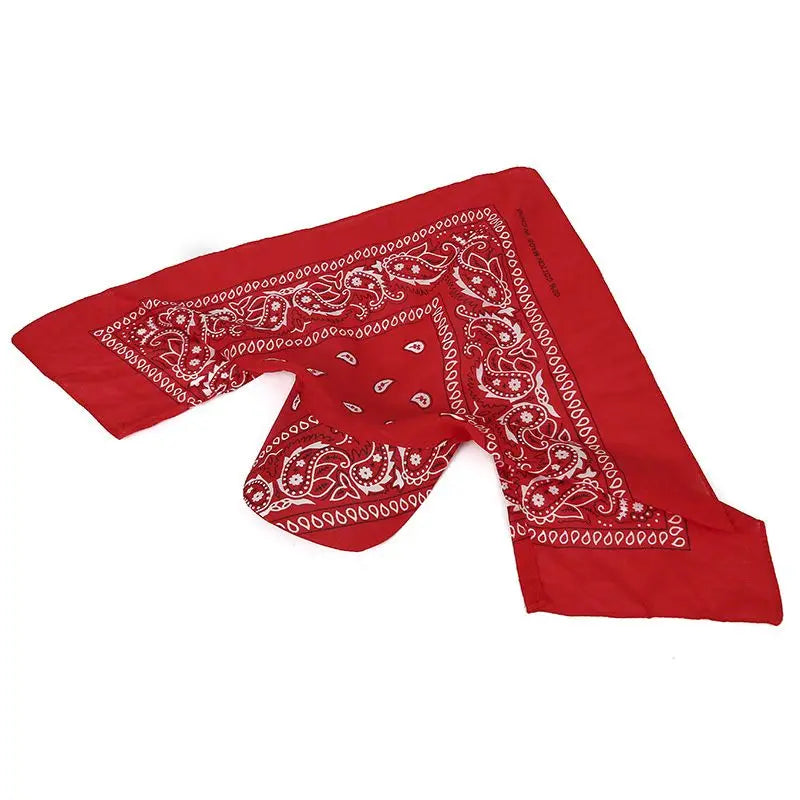 Paisley Ponytail Baseball Cap