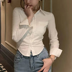 Chiffon Button-Up Long-Sleeve Cropped Blouse