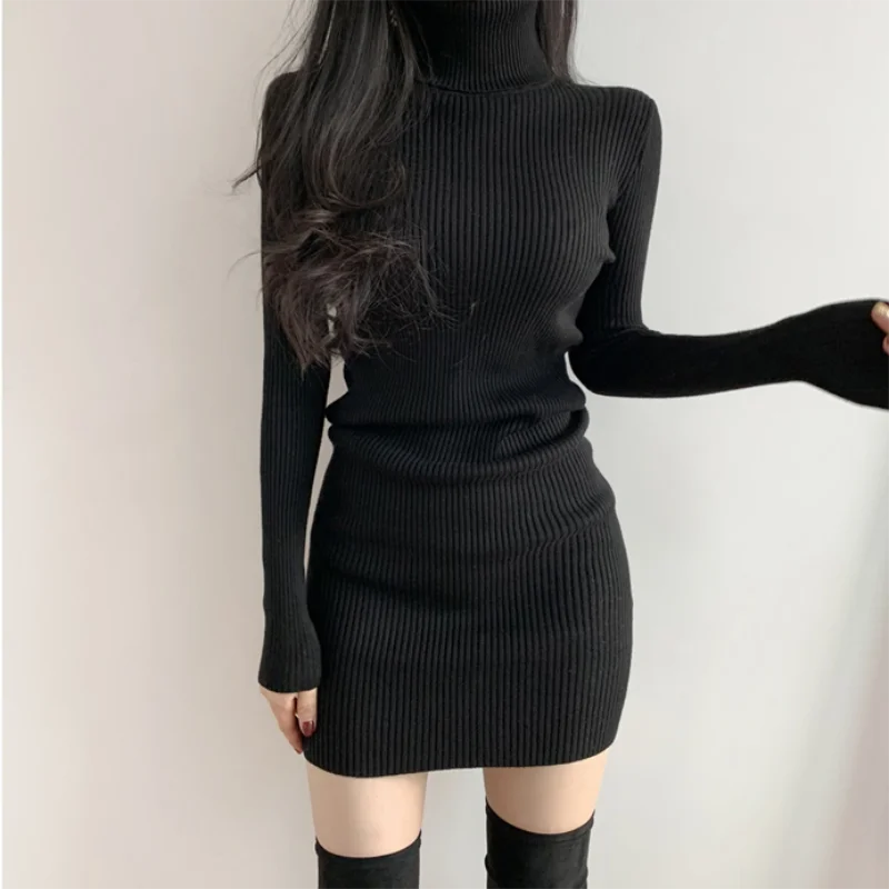 Turtleneck Knit Mini Dress