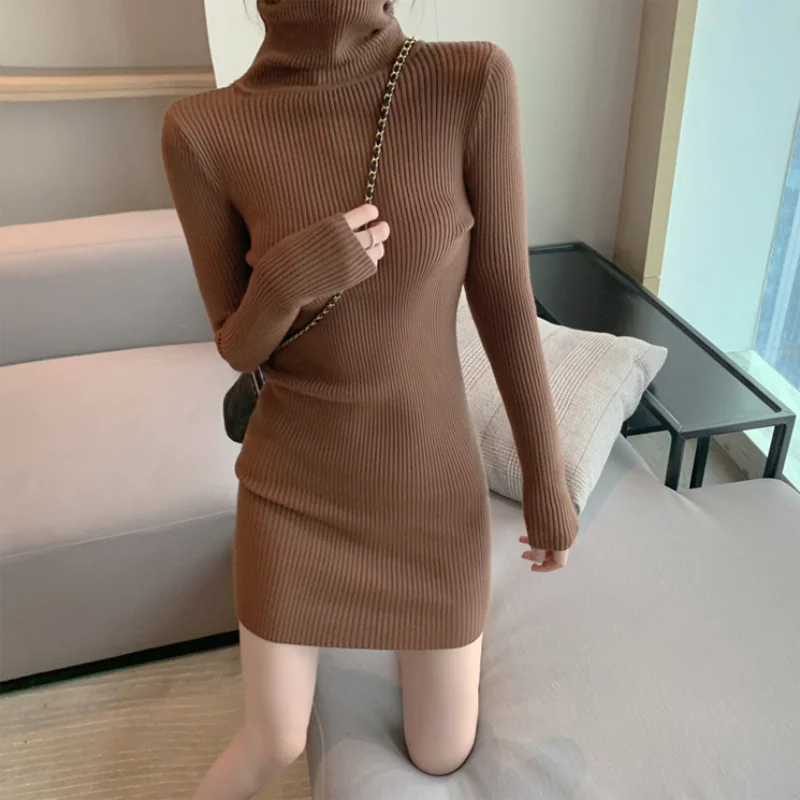 Turtleneck Knit Mini Dress