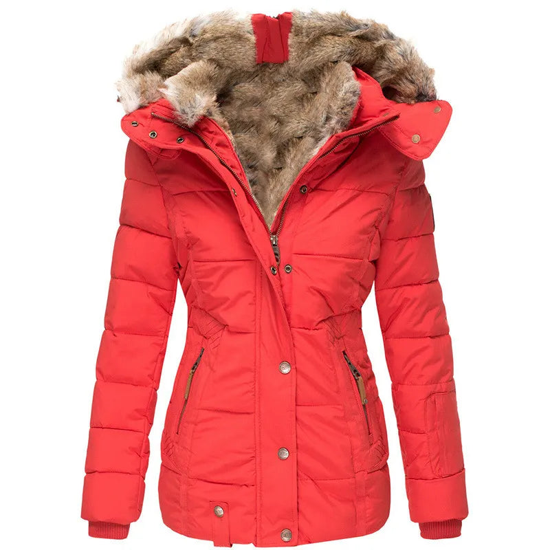 Insulated Hooded Winter Jacket